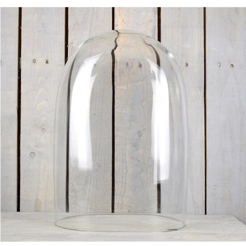 Espositore vetro cupola - espositore,