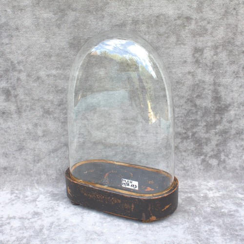 Antica cupola ovale - , vetro