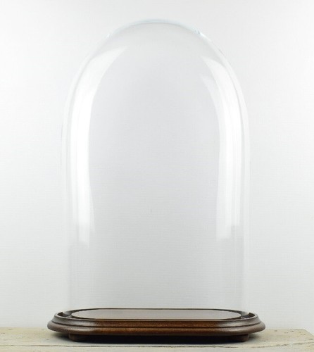 Cupola ovale vetro cm - ovale, in
