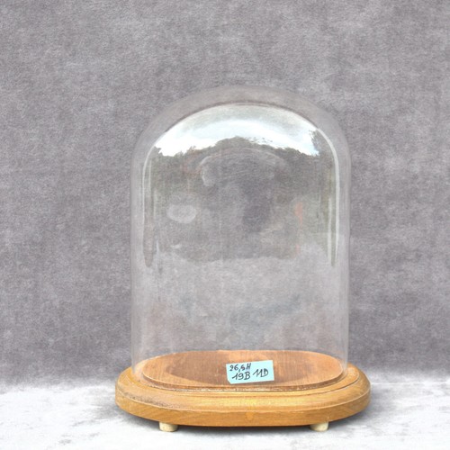 Vaso campana cupola retrò - a,