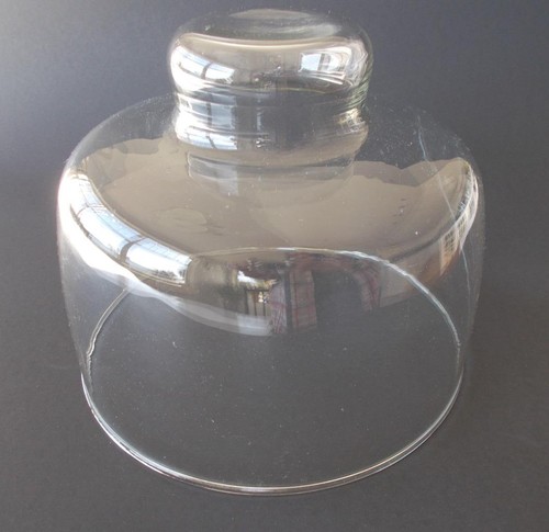 Copricupola cloche vetro - copricupola, in